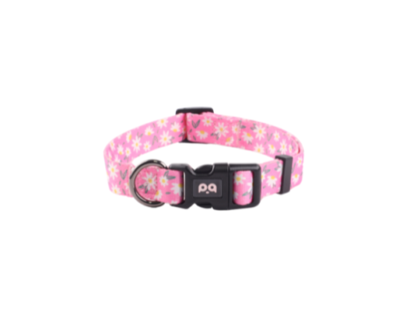 Daisy Pink Collar AIR - HappyPets Pantry