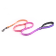 Orange Purple Leash - HappyPets Pantry