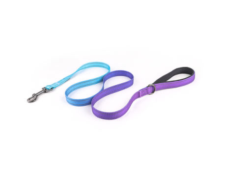 Purple Blue Leash - HappyPets Pantry