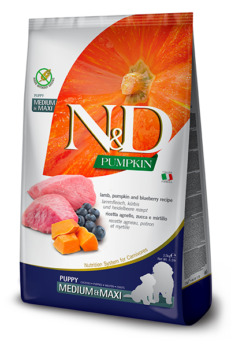 Farmina N&D Pumpkin Lamb Blueberry Med/Maxi Dog Food
