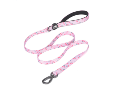 Daisy Pink Leash STP- HappyPets Pantry