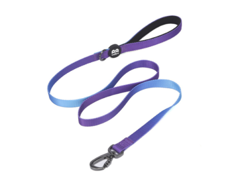 Purple Blue Leash STP- HappyPets Pantry