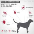 flea-ticks-k9-advantix-2