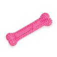 Nylabone Puppy Chew Dental Bone Pink Petite 051-NPP901P_1-B