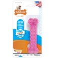 Nylabone Puppy Chew Dental Bone Pink Petite 051-NPP901P_3-B