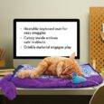 Kong Comfort Key Play Mat Warm Keyboard Cat Toy 03953013@5
