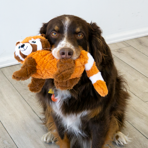 Kong Scampers Red Panda Dog Toy SCP22_LIFE_1