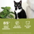 CA ACA ENG wet cat PDP Images 1000x1000_Chicken and Tuna Kitten2