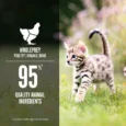 Chicken & Salmon Entrée Wet Food for Kittens CA ORI wet cat PDP-Chicken&Salmon-1000×10008