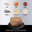 Chicken & Salmon Entrée Wet Food for Kittens CA ORI wet cat PDP-Chicken&Salmon-1000×10009