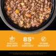 DS ACA Cat Chunks in Broth Chicken PDP4