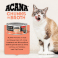 DS ACA Cat Chunks in Broth Salmon PDP3