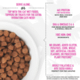 Tiki Cat Born Carnivore Baby Kitten Health Deboned Chicken & Egg Recipe Dry Food for Kittens 6 Weeks and Over 2.8 lbs big_20147026@10