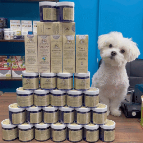 HappyPets-Pantry-Toronto (1)