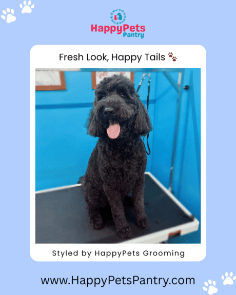 happy-pets-pantry-grooming-pictures-toronto (5)