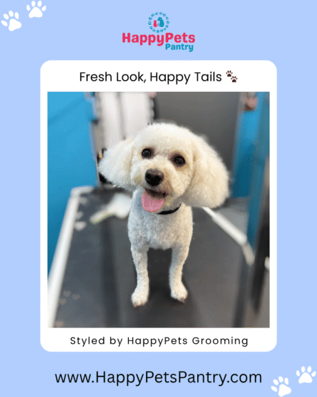 happy-pets-pantry-grooming-pictures-toronto (6)