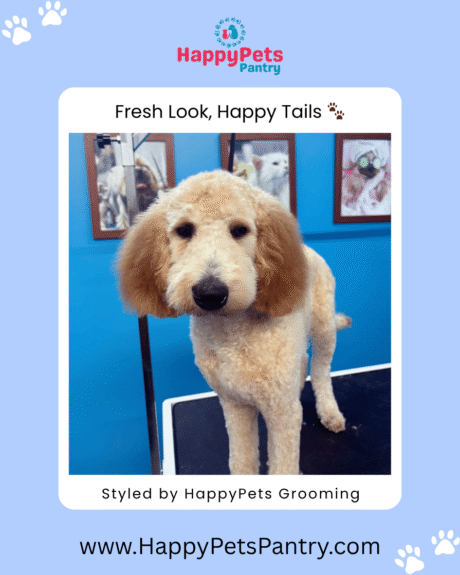 happypets-grooming-dog-grooming-pictures (2)