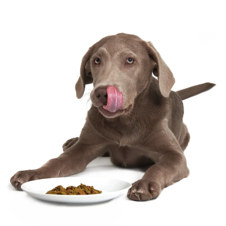 prairie-harvest-pork-dog-crunchy-style-smack-pet-food-893580
