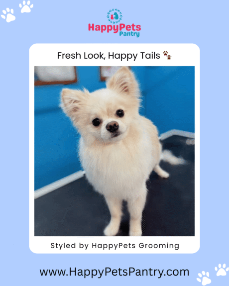 happy-pets-grooming-dog-grooming-toronto (4)