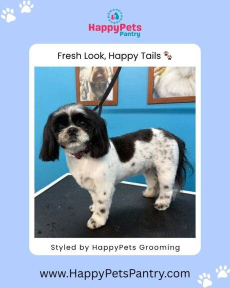 happy-pets-pantry-dog-and-cat-grooming-in-toronto (2)