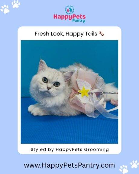 happy-pets-pantry-dog-and-cat-grooming-in-toronto (4)