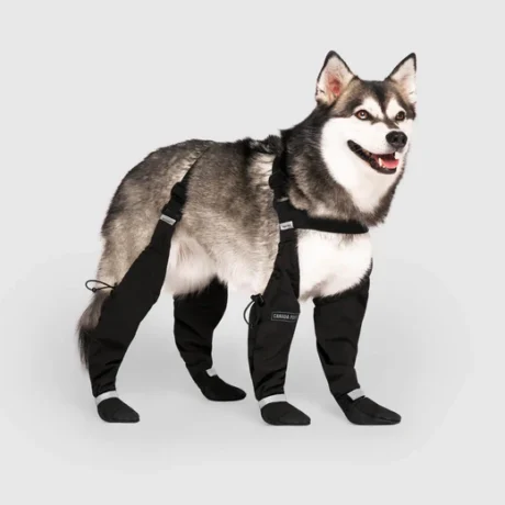 Canada Pooch Suspender Dog Boots