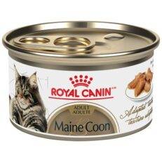Royal Canin Feline Breed Nutrition Maine Coon Thin Slices in Gravy Cat Wet Food 3oz