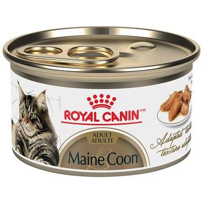 Royal Canin Feline Breed Nutrition Maine Coon Thin Slices in Gravy Cat Wet Food 3oz