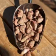 Balto Bites Freeze Dried Chicken Hearts 55gs