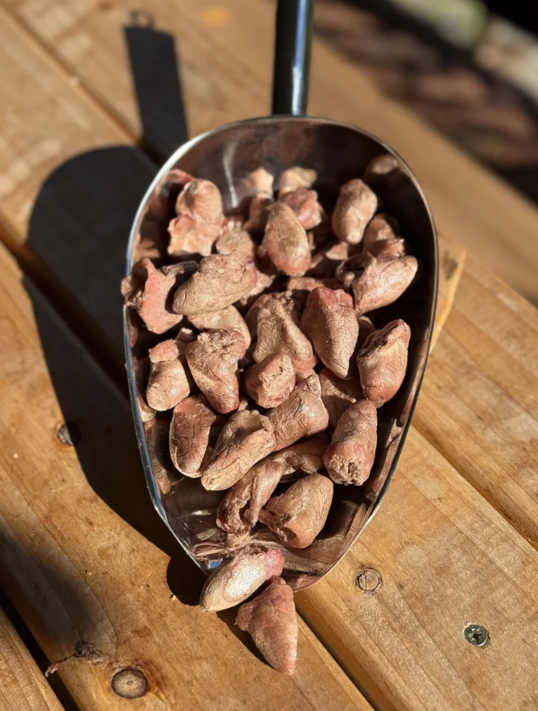 Balto Bites Freeze Dried Chicken Hearts 55gs