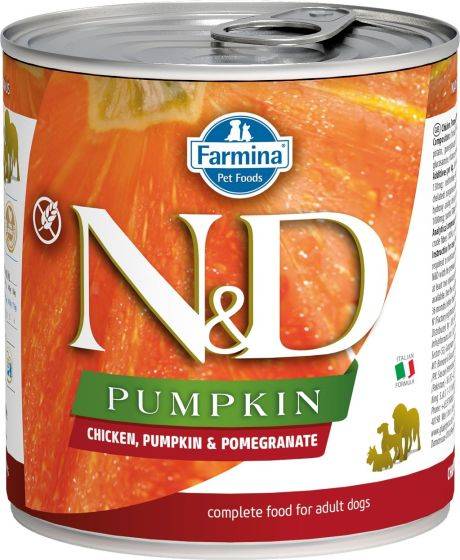 Farmina N&D Pumpkin Chicken Dog Wet Food 10.5oz