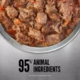 ORIJEN Premium Wet Dog Food Regional Red Stew 363g-1
