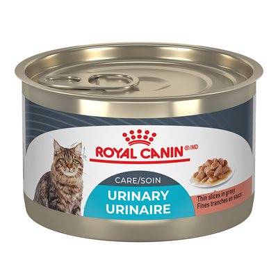 Royal Canin Feline Care Nutrition Urinary Care Thin Slices in Gravy Cat Wet Food 5.1oz