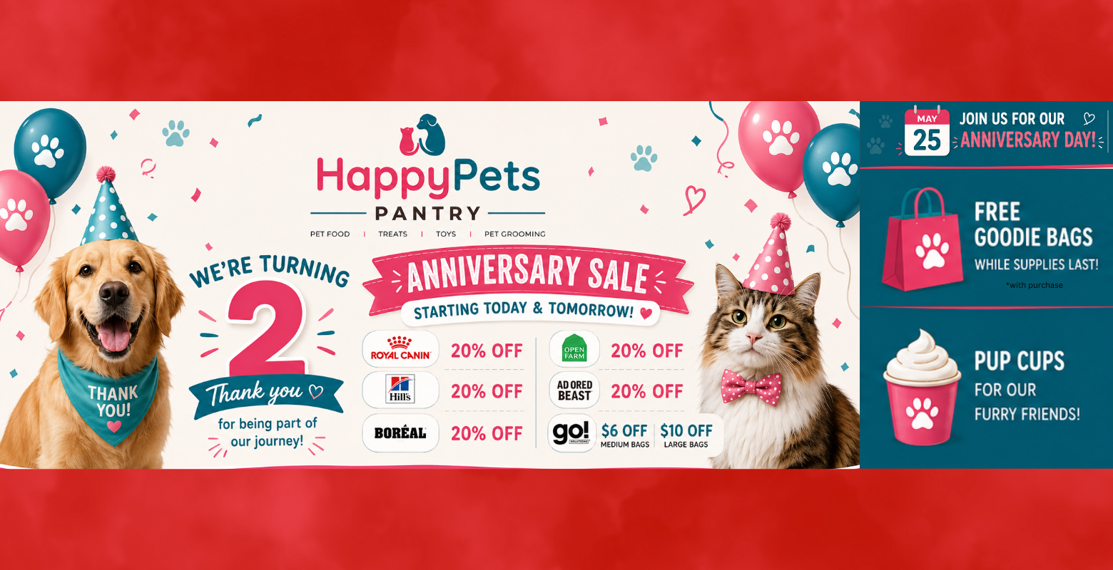 Website Banner - Ipad-2nd anniversary