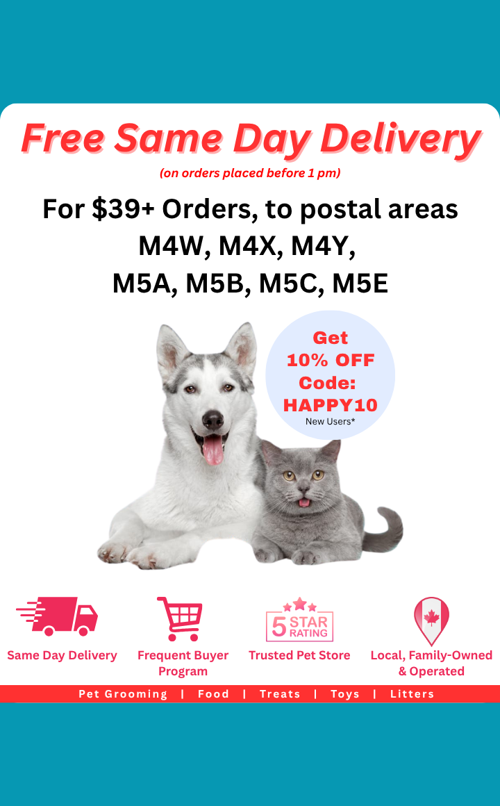 Website Banner - Phone