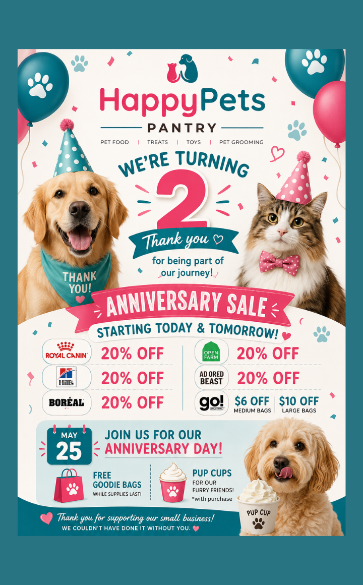 Website Banner - Phone-2nd anniversary 2