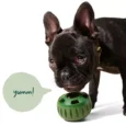 Woof Pupsicle Dog Treat Refill Beef Pops-3b