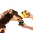Woof Pupsicle Treat DYI Tray -4
