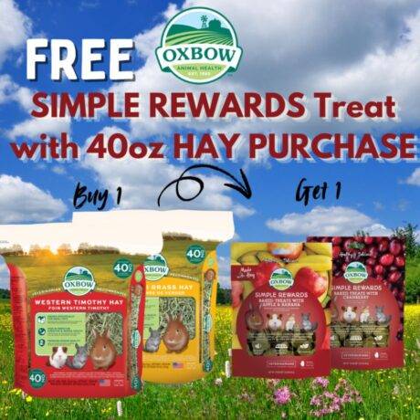 happy-pets-pantry-pet-store-in-toronto-dog-grooming-place-in-toronto-monthly-deals (13)
