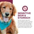 Fromm Nutritionals Sensitive Skin & Stomach Salmon & Whole Oats Recipe Dry Dog Food 4lb-2