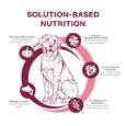 Fromm Nutritionals Sensitive Skin & Stomach Salmon & Whole Oats Recipe Dry Dog Food 4lb-3