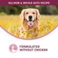 Fromm Nutritionals Sensitive Skin & Stomach Salmon & Whole Oats Recipe Dry Dog Food 4lb-4