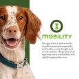 Fromm® Nutritionals Mobility Chicken & Whole Oats Recipe Dry Dog Food 4lb-2