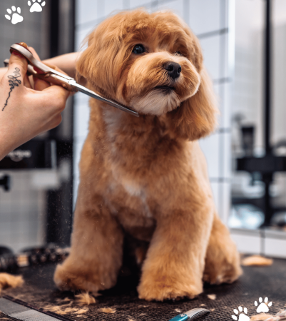 HappyPets Grooming